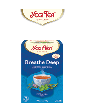 yogi